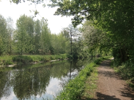 Nettetal-Leuth : Vom Wanderparkplatz an der Leuther Mühle, Hinsbecker Straße geht die Wanderung zunächst an der Nette entlang in Richtung Großer De-Witt-See mit seinem Rohrdommel-Projekt.